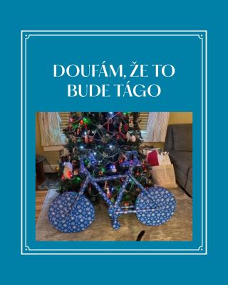 A co si otevřete pod stromečkem letos vy? 🎄✨ #ikulecnik #kulecnik #pool #billiard #poolcue #tago